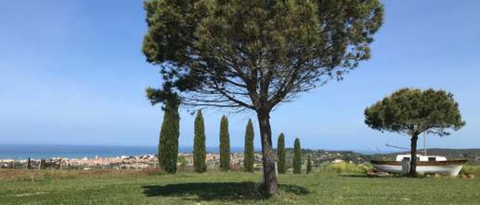 Hoofdfoto Agriturismo Il Giulivo