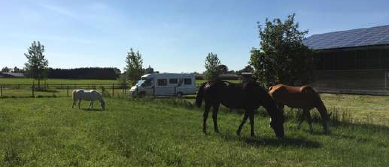 Hoofdfoto Camperplaats Het Houtland