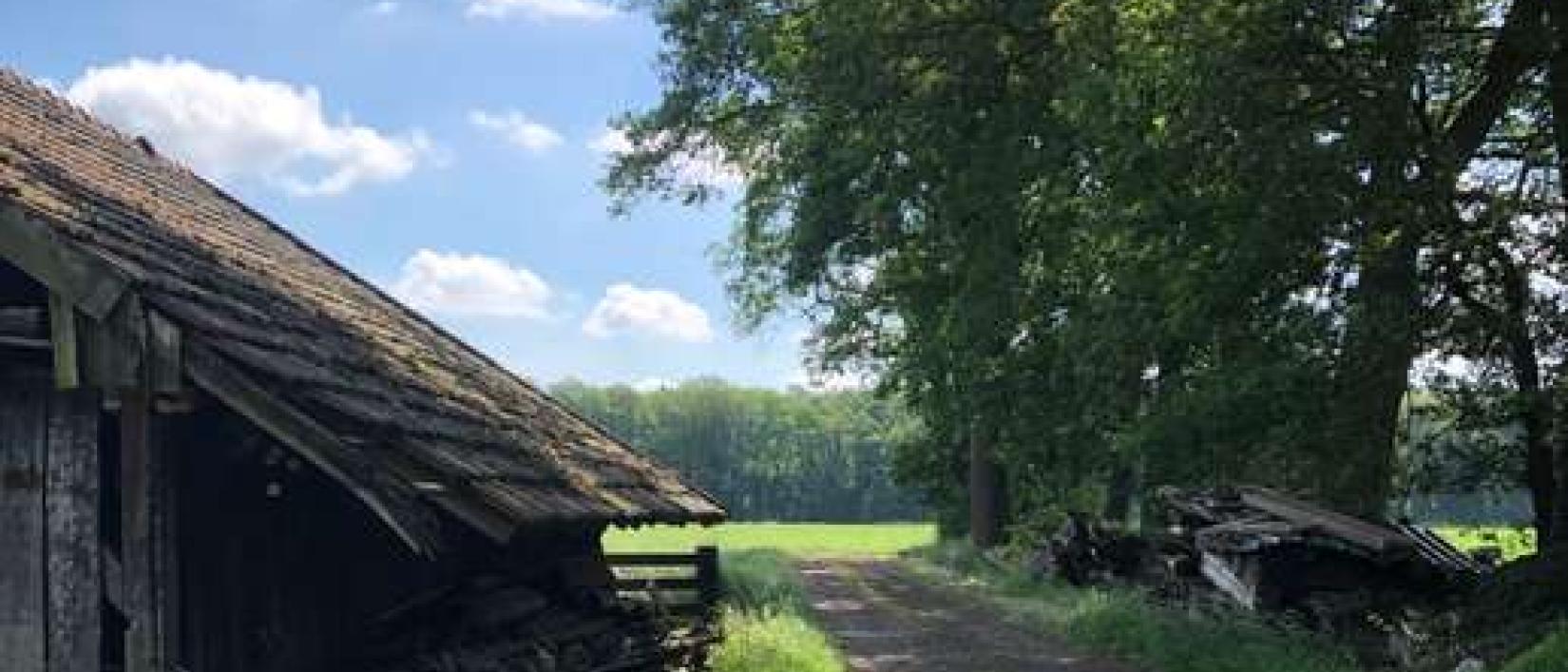 Hoofdfoto Ochtruper Diek