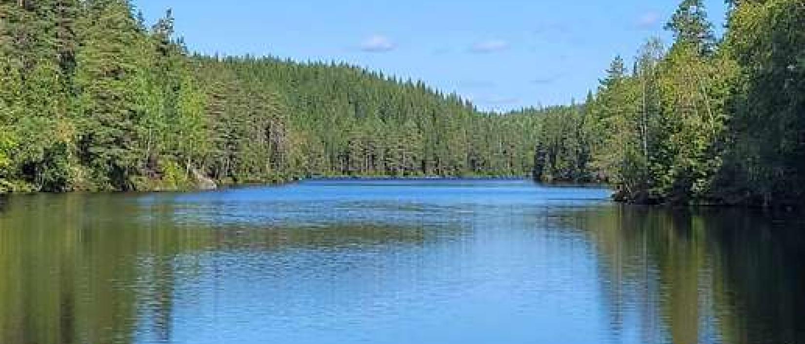 Hoofdfoto Glaskogen
