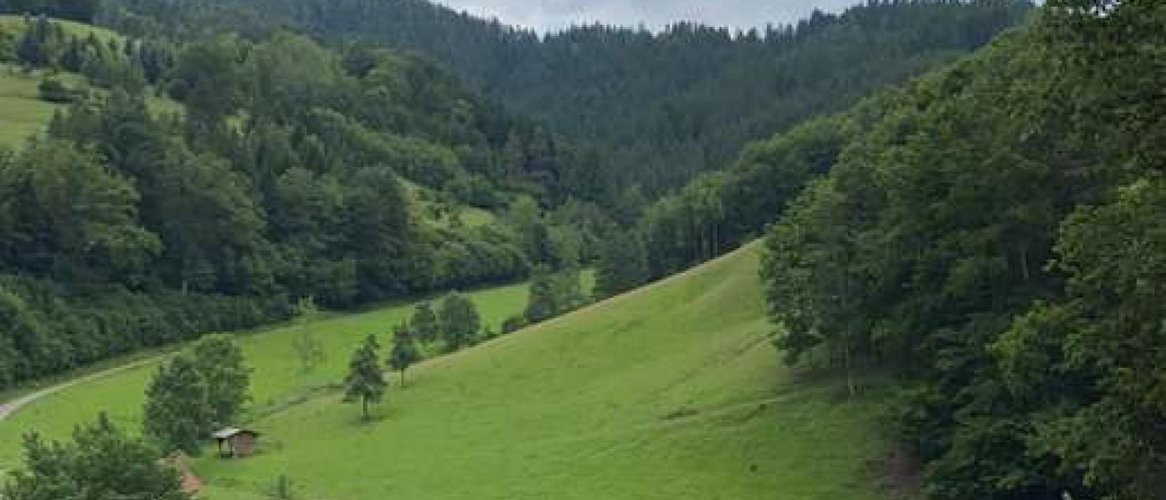 Hoofdfoto Camping Zur Mühle