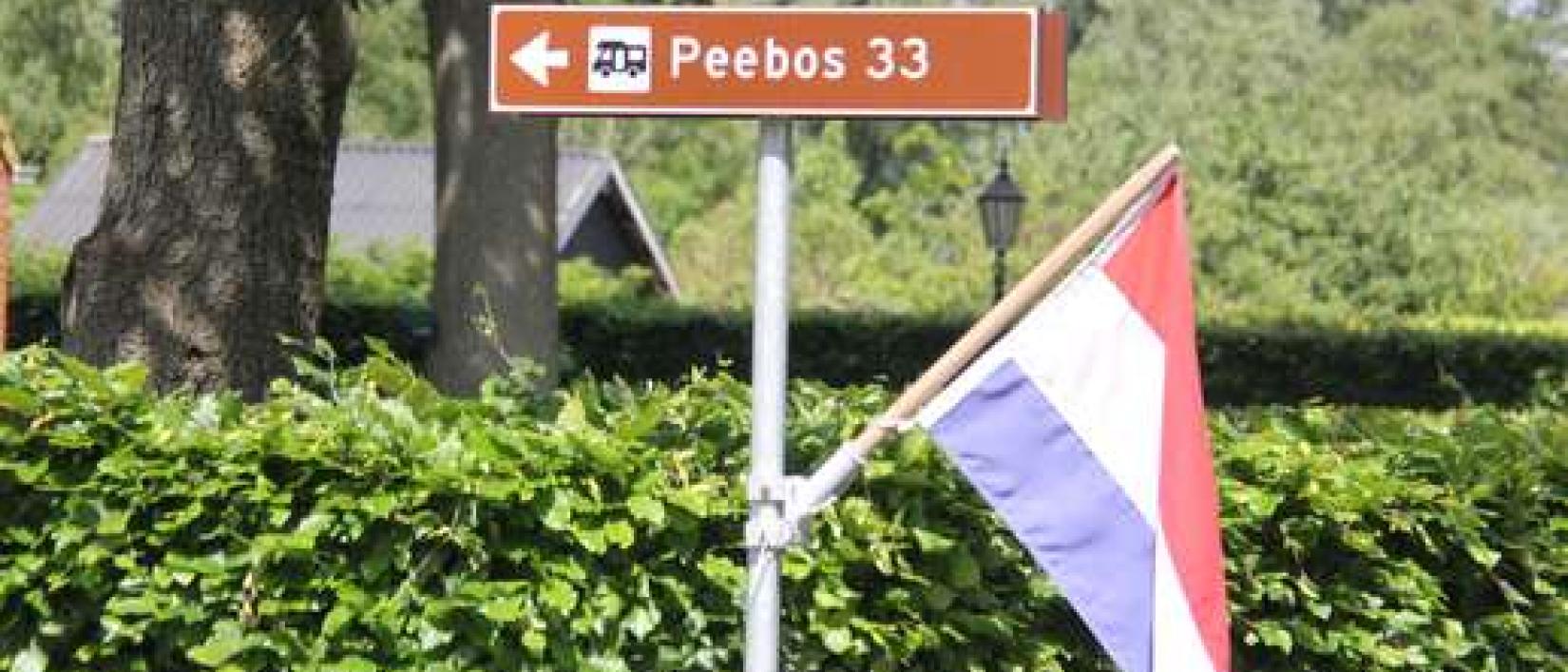 Hoofdfoto Camperplaats Peebos 33