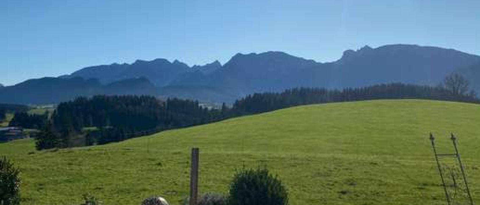 Hoofdfoto Hof Friedl