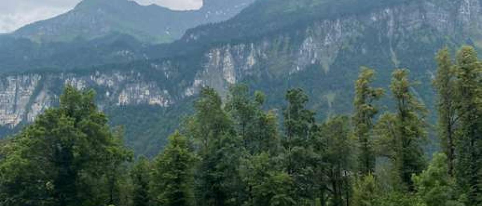 Hoofdfoto Parking Swiss Open Air Museum Ballenberg