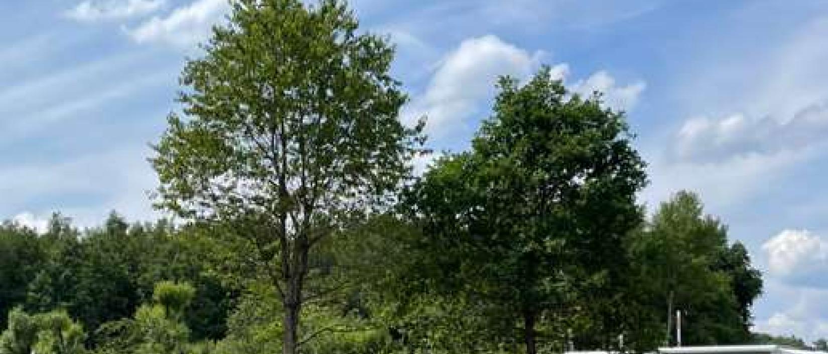 Hoofdfoto Wäller Camp Wohnmobilhafen