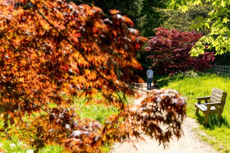 cotswolds