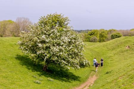 cotswolds