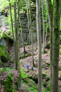  Teufelsschlucht