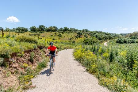 fietsen andalusie