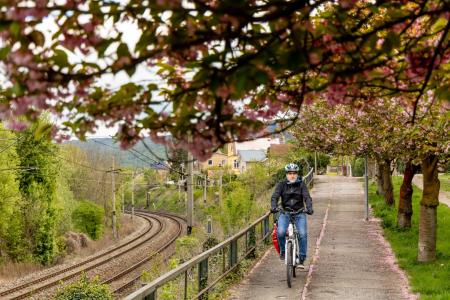 Fietsen Praag