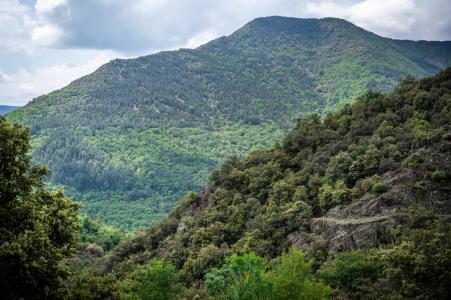 Ardèche