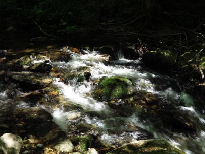 meer van Bohinj