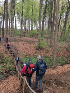 Kluisbos