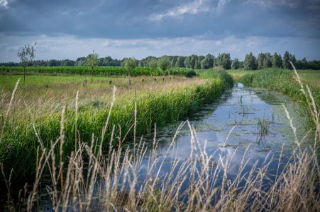 Achterhoek