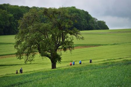 Moselsteig