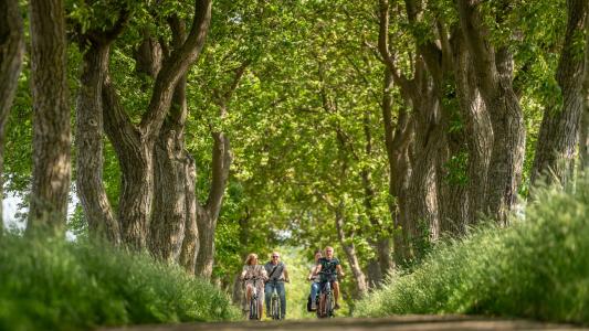 Fietsen in Bilzen 