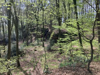 wandelen Mullerthal