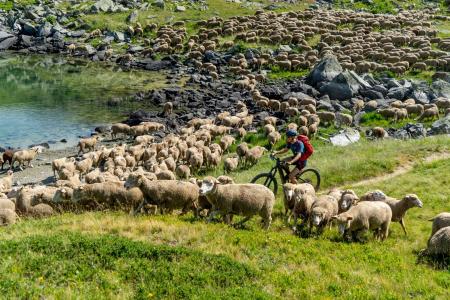 mountainbike in de Alpen