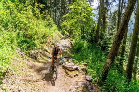 mountainbike in de Alpen