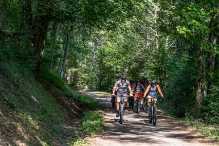 mountainbike in de Alpen