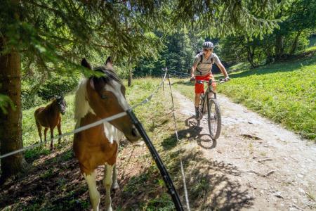 mountainbike in de Alpen