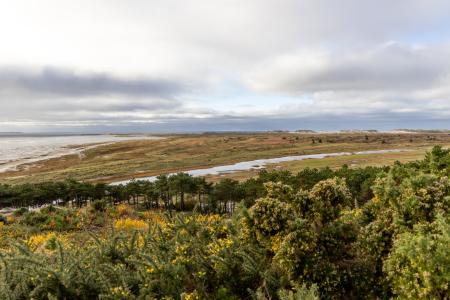 Terschelling