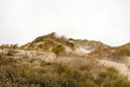 Terschelling