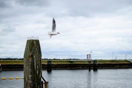 Knooppuntfietsen in Schouwen-Duiveland