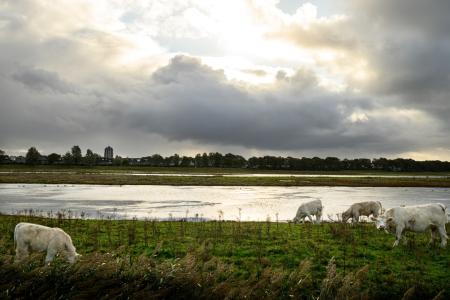 Knooppuntfietsen in Schouwen-Duiveland