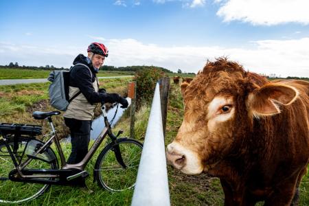 Knooppuntfietsen in Schouwen-Duiveland