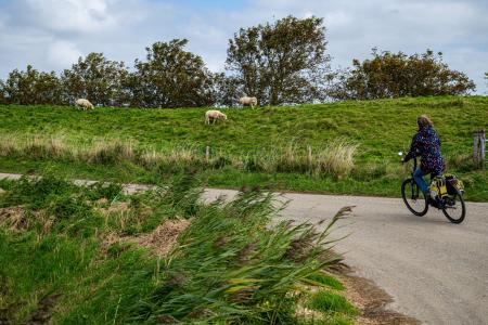 Knooppuntfietsen in Schouwen-Duiveland