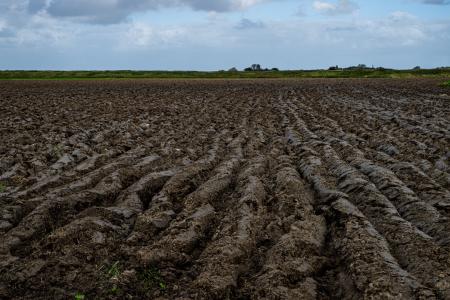 Knooppuntfietsen in Schouwen-Duiveland