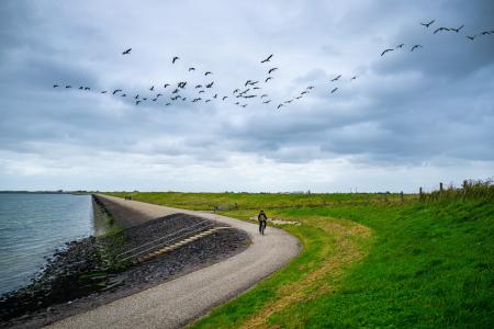 Knooppuntfietsen in Schouwen-Duiveland