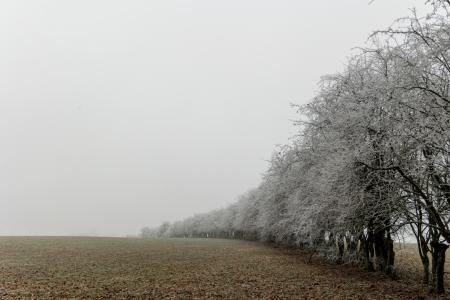 Bastogne