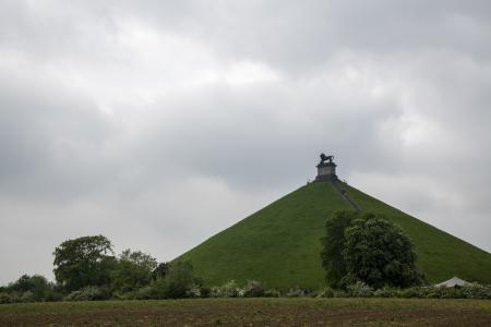 kolenwoud