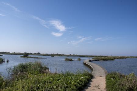 marker wadden