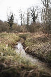 prinsbeemden