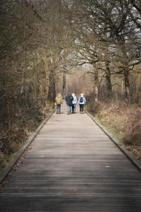 prinsbeemden