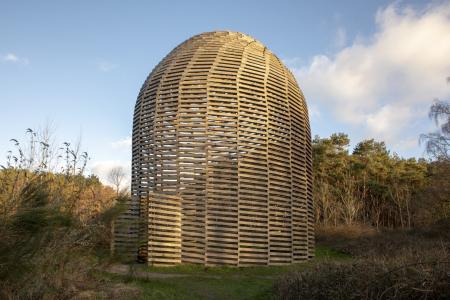 verbeke foundation