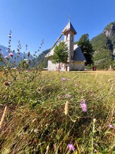 blog