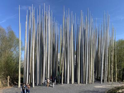 verbeke foundation