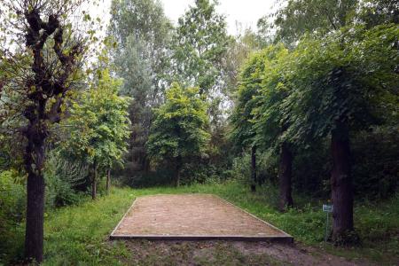 verbeke foundation