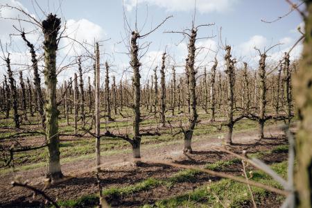 kasteelroute sint-truiden