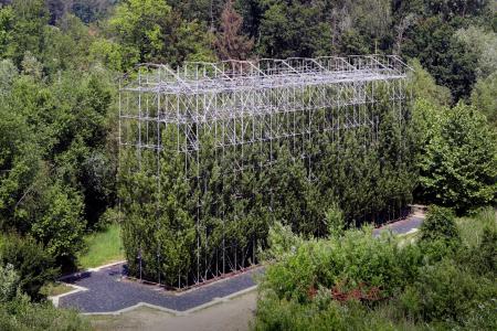 verbeke foundation