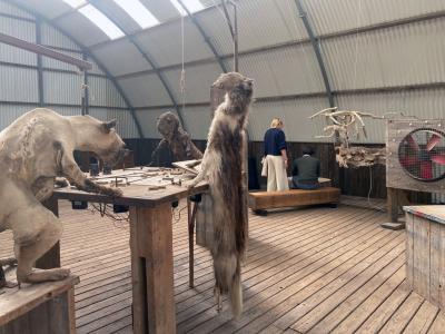 verbeke foundation