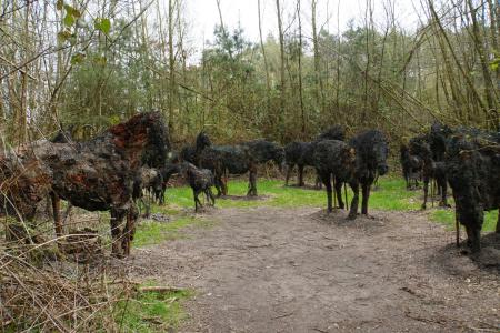 verbeke foundation