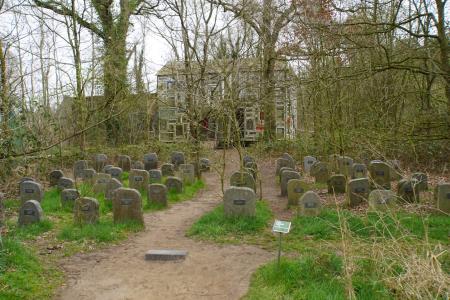 verbeke foundation