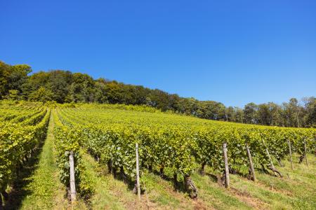 franse ardennen