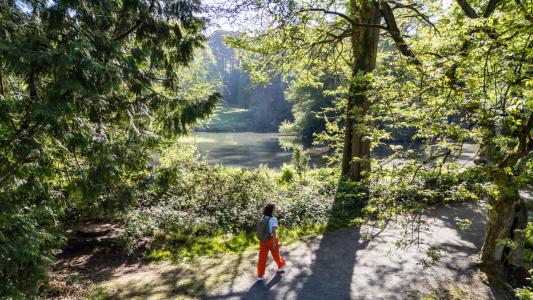 wandelen dendervallei Zuid