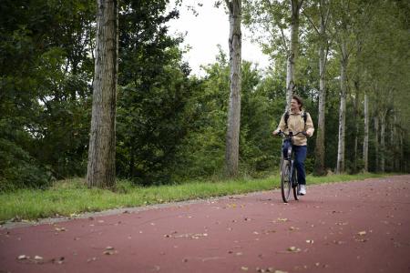 Meesters langs de Leie